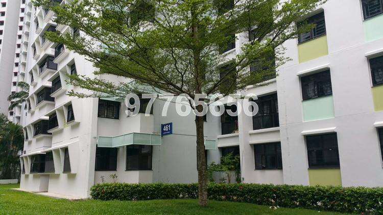 Blk 461 Clementi Avenue 3 (Clementi), HDB 4 Rooms #126062062